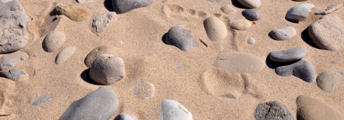MS4 28 Footprint in the Sand-BREIT